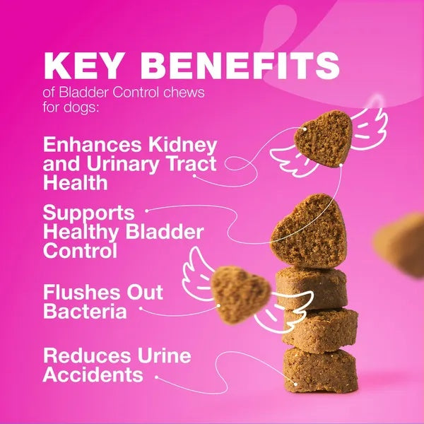 Bladder control chews for dogs with key benefits listed on a pink background