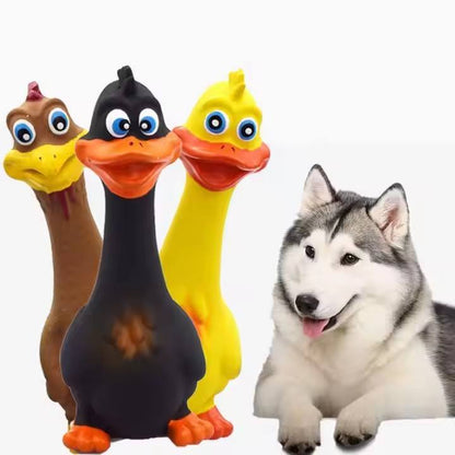 Three colorful dog toys shaped like ducks and a dog sitting next to them on a white background.