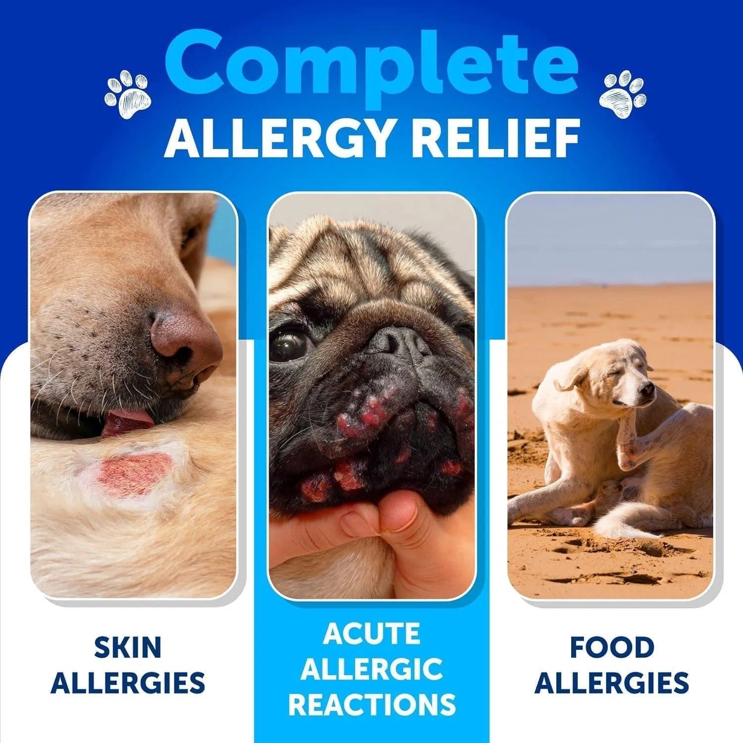 Three images of dogs with different allergy conditions and 'Complete Allergy Relief' text on a blue background.